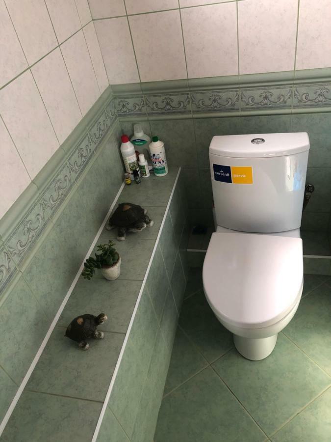 Paukoje Apartamentai 이그날리나 외부 사진